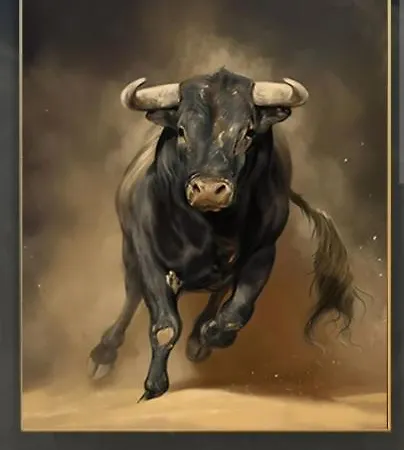 Obala Morace